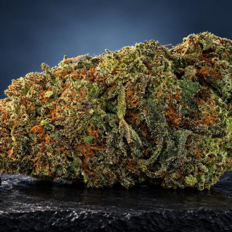 Kush-Sorten: dichte Blüte mit grünen und braunen Tönen neben zwei Nüssen, Detailaufnahme einer Kush-Sorte