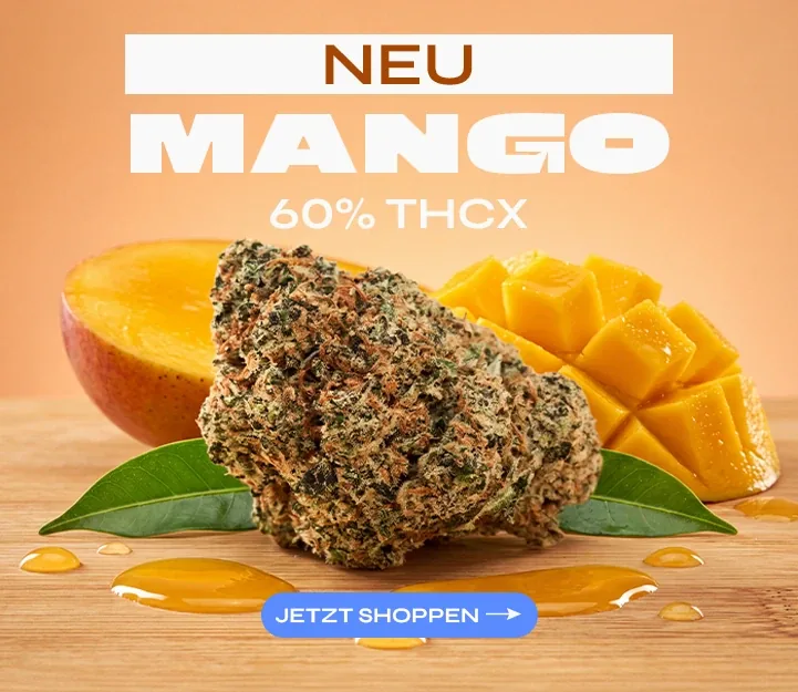 Mango THCX Spliff