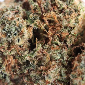 Plutonium CBD – Makroaufnahme von Trichomen und Stempeln