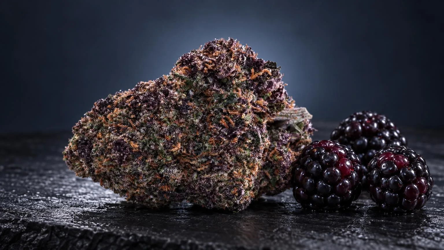 Purple Haze THC-Gehalt: Blüte Purple Haze in Szene gesetzt