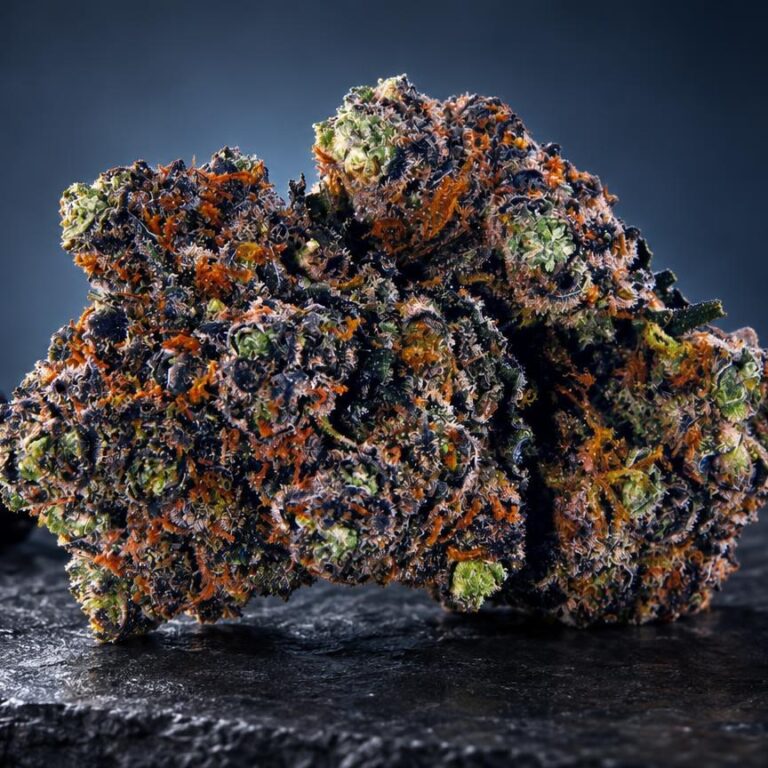 Sativa Indica Unterschied: purple Haze mit orangebraunen und grünen Trichomen, umgeben von schwarzen Brombeeren auf Stein