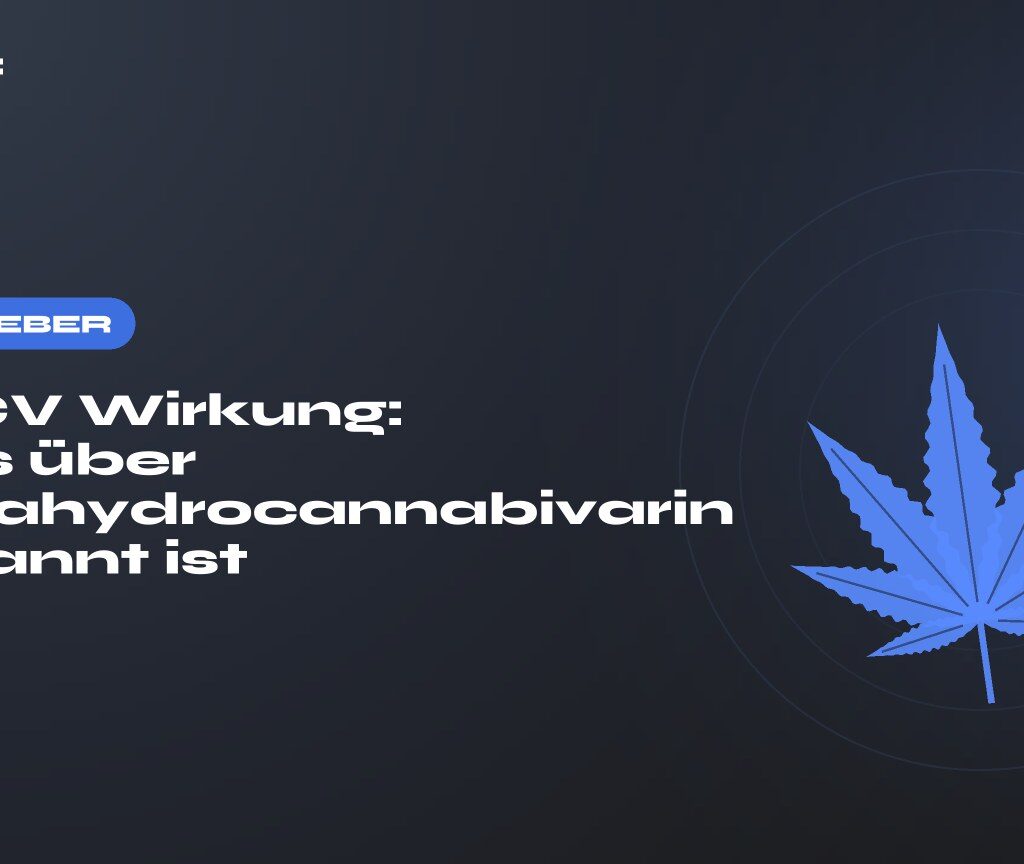 THCV Wirkung: Was über Tetrahydrocannabivarin bekannt ist — Titel auf dunklem Grund, stilisiertes Hanfblatt