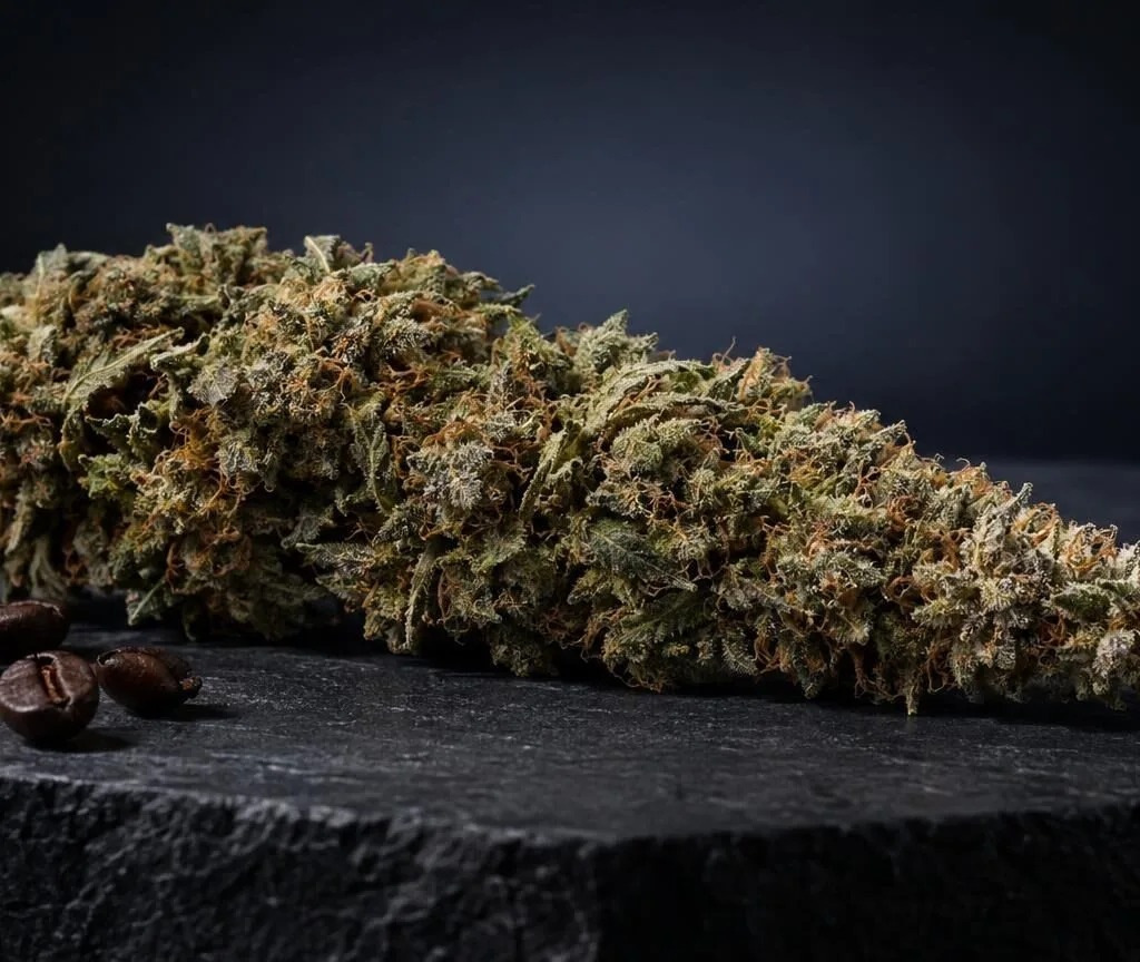 Getrocknete Cannabisblüte mit dichtem Blütenstand auf schwarzem Untergrund, neben Kaffeebohnen, für Artikel über Weed Cones