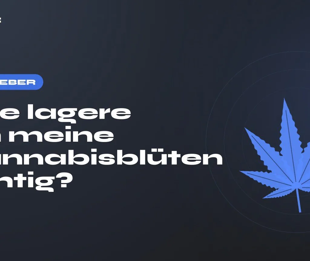 Wie lagere ich meine Cannabisblüten richtig?