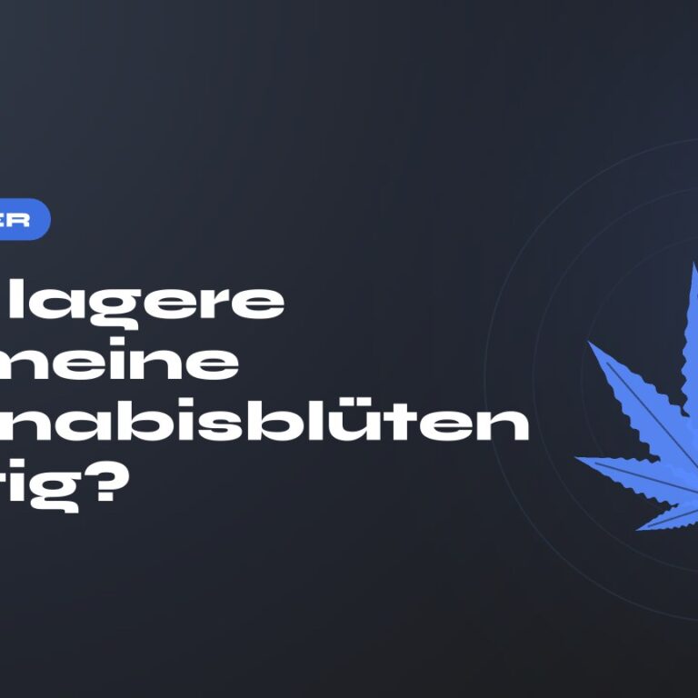 Wie lagere ich meine Cannabisblüten richtig? — Titel auf dunklem Grund, stilisiertes Hanfblatt