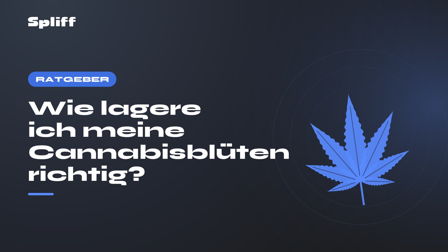 Wie lagere ich meine Cannabisblüten richtig? — Titel auf dunklem Grund, stilisiertes Hanfblatt