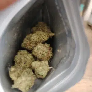Kundenbewertung Gelato 33 mit Foto - Spliff