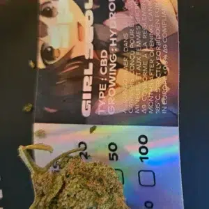 Kundenbewertung Girl Scout Cookies mit Foto - Spliff