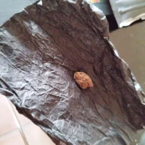 Kundenbewertung Golden Crystal mit Foto - Spliff
