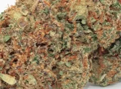 Kundenbewertung Jack Herer mit Foto - Spliff