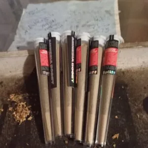 Kundenbewertung Pre-Roll - Amnesia Boost mit Foto - Spliff