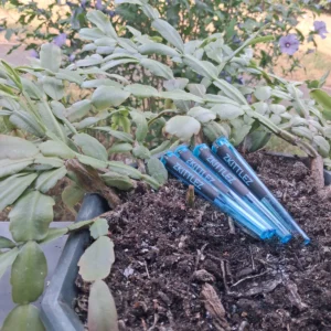 Kundenbewertung Pre-Roll - Zkittlez mit Foto - Spliff