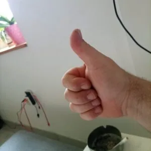 Kundenbewertung Pre-Roll - Zkittlez mit Foto - Spliff