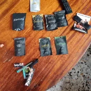 Kundenbewertung Magic Pod x2 mit Foto - Spliff
