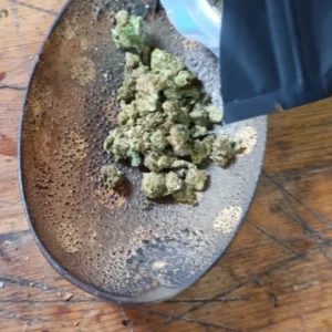 Kundenbewertung Minibud Cali USA mit Foto - Spliff