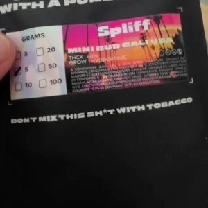 Kundenbewertung Minibud Cali USA mit Foto - Spliff