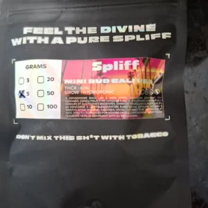 Kundenbewertung Minibud Cali USA mit Foto - Spliff
