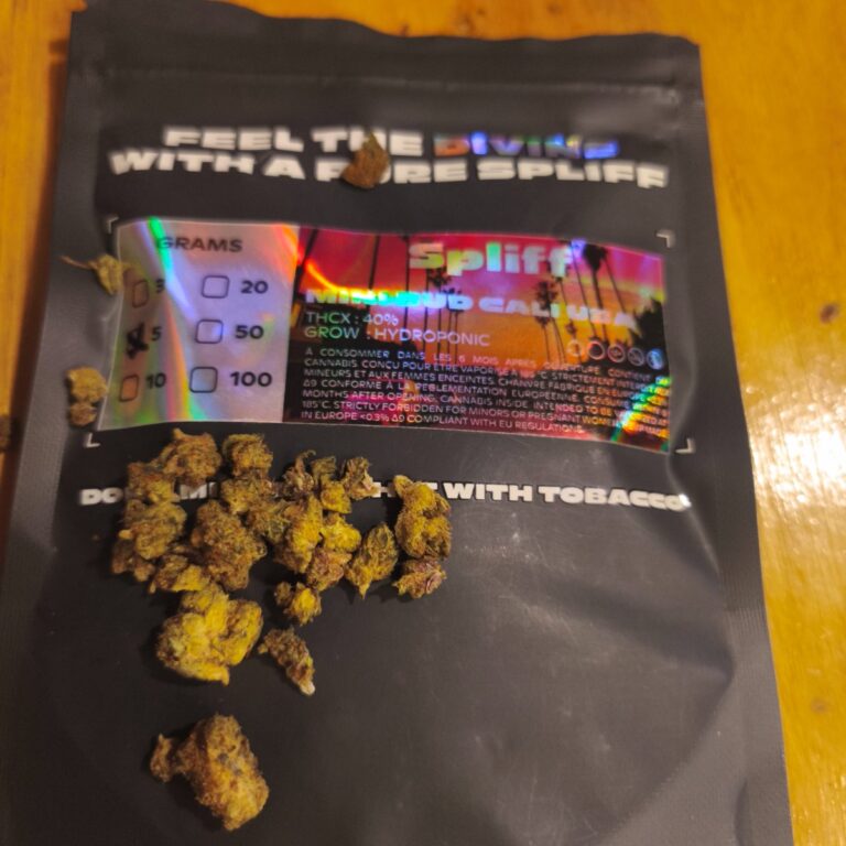 Kundenbewertung Minibud Cali USA mit Foto - Spliff