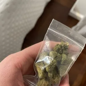 Kundenbewertung Minibud Cali USA mit Foto - Spliff