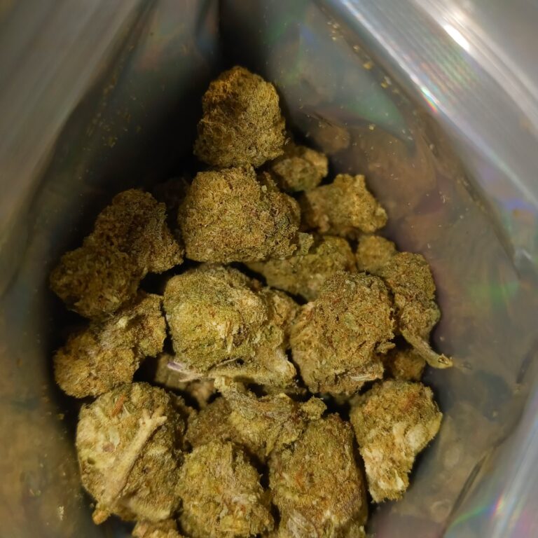 Kundenbewertung Minibud Cali USA mit Foto - Spliff