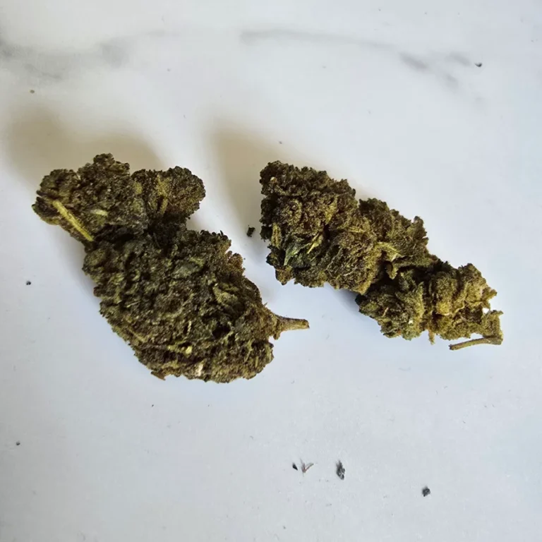 Kundenbewertung Minibud Premium Superskunk mit Foto - Spliff