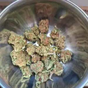 Kundenbewertung Minibud Premium mit Foto - Spliff