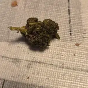 Kundenbewertung Minibud Premium mit Foto - Spliff