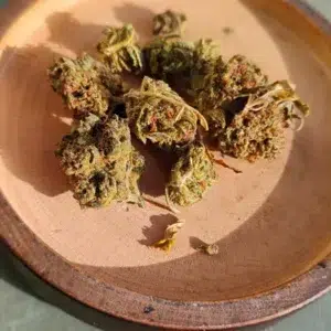 Kundenbewertung Minibud Premium mit Foto - Spliff