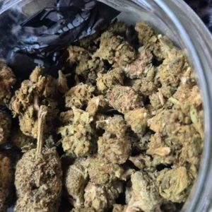 Kundenbewertung Minibud Premium mit Foto - Spliff