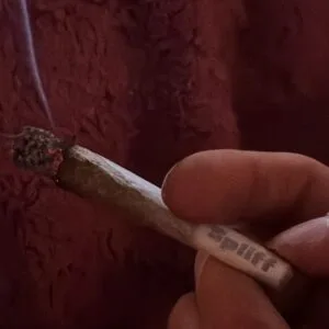 Kundenbewertung Minibud Premium mit Foto - Spliff