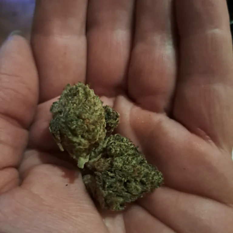 Kundenbewertung Orange Bud mit Foto - Spliff