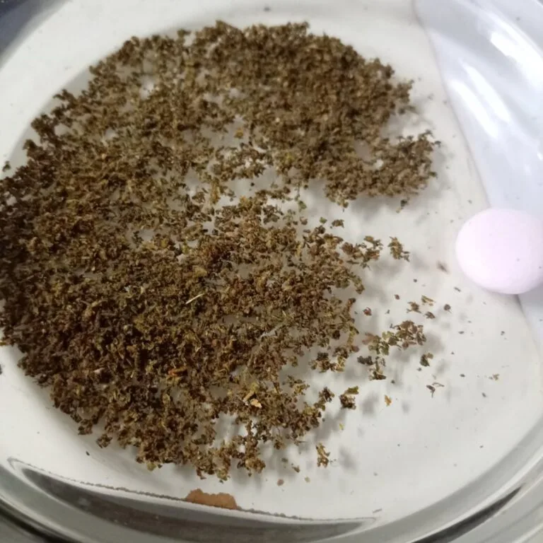 Kundenbewertung Pre-Roll - Royal Hash mit Foto - Spliff
