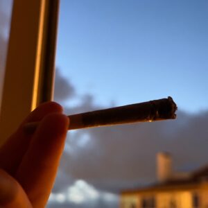Kundenbewertung Pre-Roll - Jack Herer mit Foto - Spliff