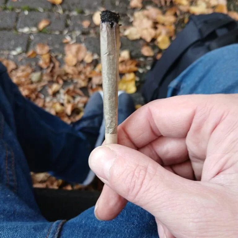 Kundenbewertung Pre-Roll - Zkittlez mit Foto - Spliff