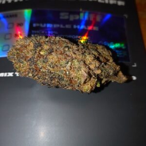 Kundenbewertung Purple Haze mit Foto - Spliff