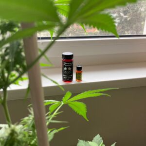 Kundenbewertung Sirup - Magic Potion mit Foto - Spliff