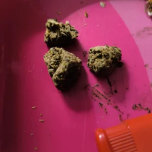 Kundenbewertung Sour Diesel mit Foto - Spliff