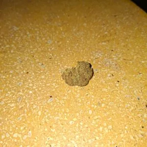 Kundenbewertung Sour Diesel mit Foto - Spliff