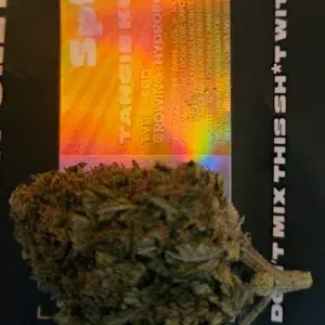 Kundenbewertung Tangie Kush mit Foto - Spliff