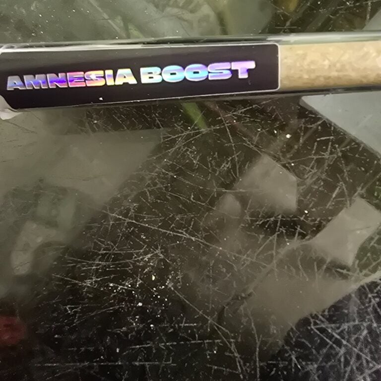 Kundenbewertung Pre-Roll - Amnesia Boost mit Foto - Spliff